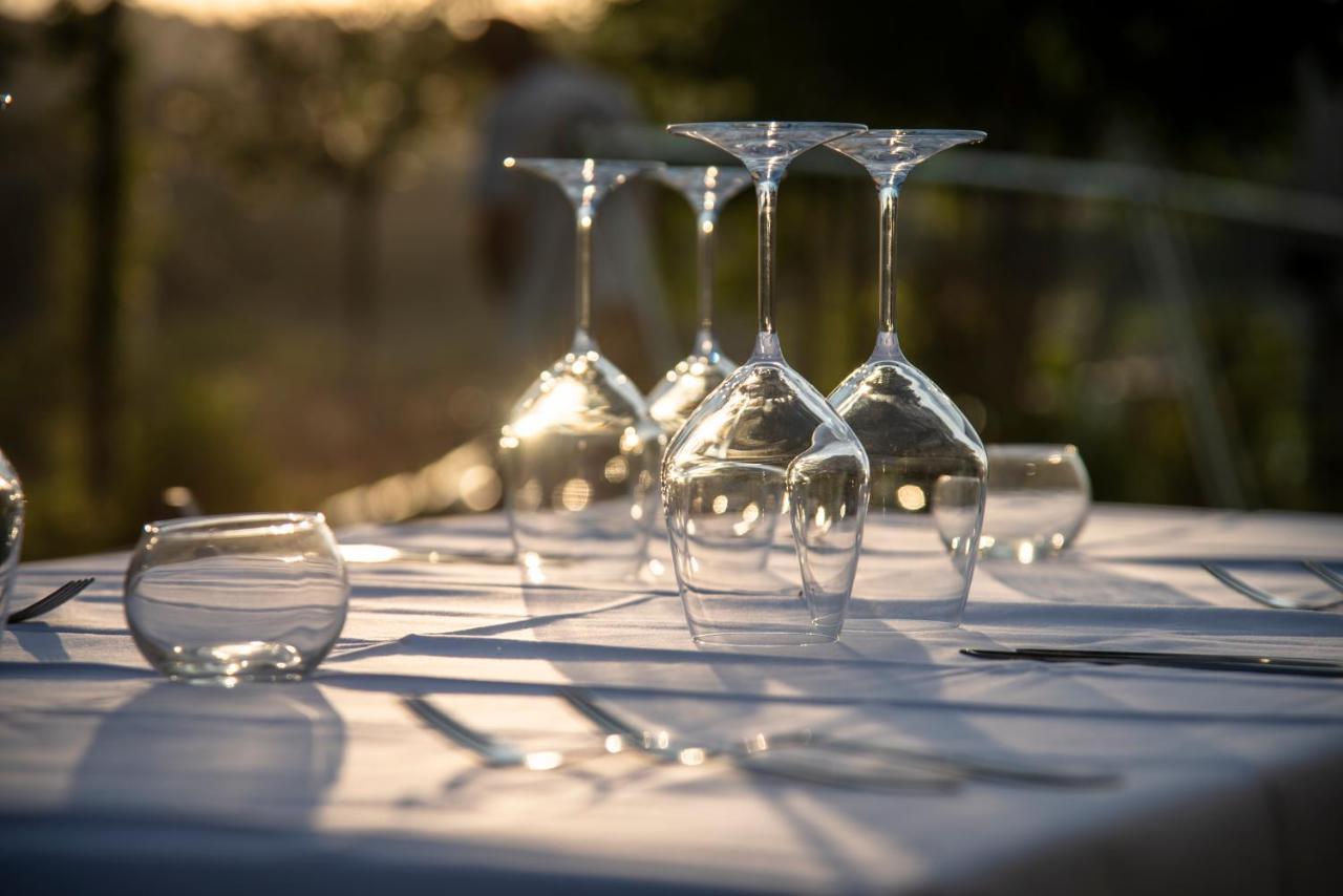 Recchi Franceschini Bike Hotel Last - Minute - Availability Montalto delle Marche 外观 照片
