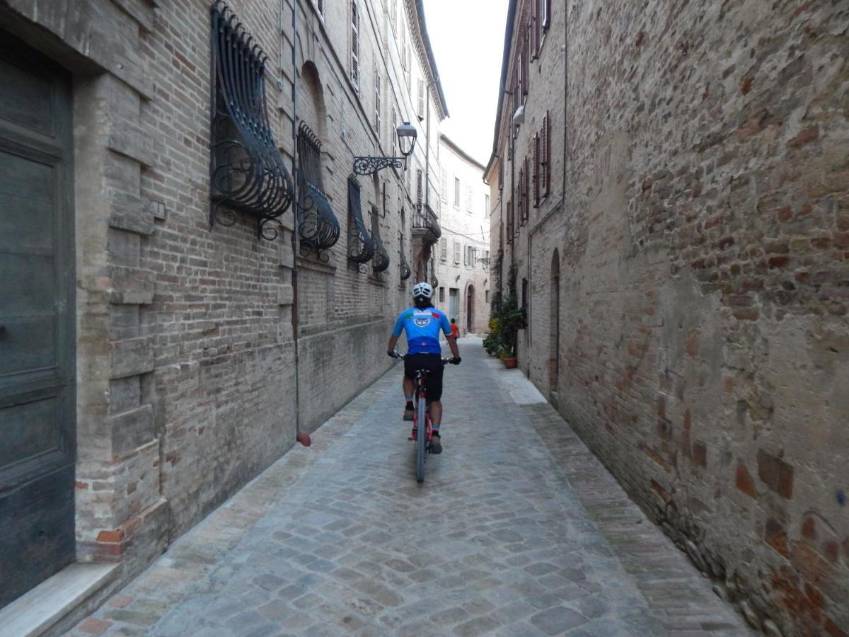 Recchi Franceschini Bike Hotel Last - Minute - Availability Montalto delle Marche 外观 照片