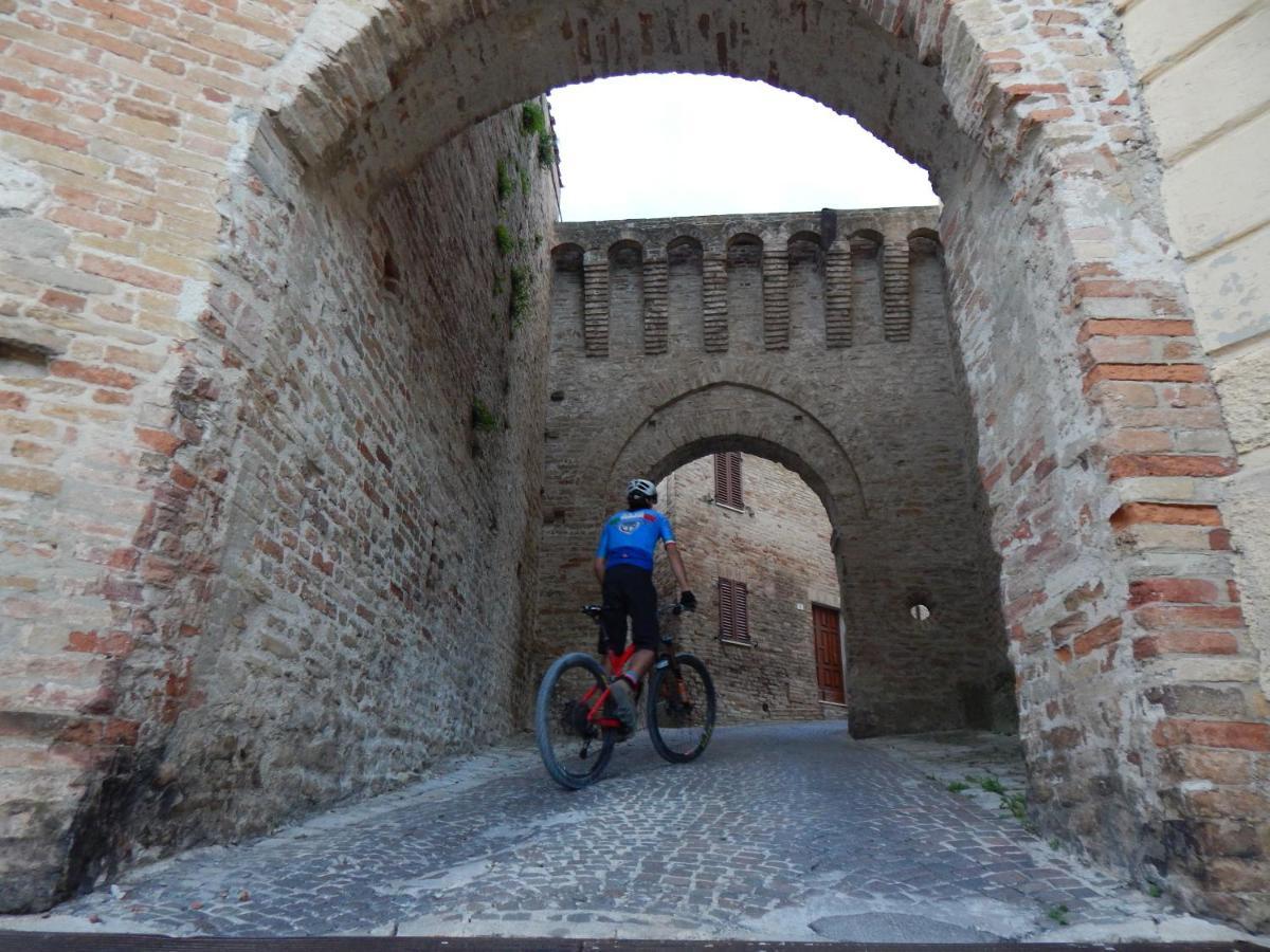 Recchi Franceschini Bike Hotel Last - Minute - Availability Montalto delle Marche 外观 照片