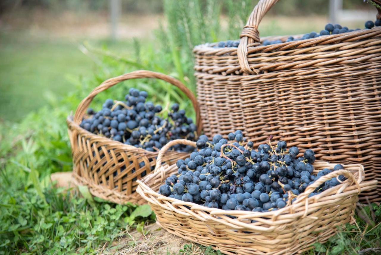 Recchi Franceschini Bike Hotel Last - Minute - Availability Montalto delle Marche 外观 照片