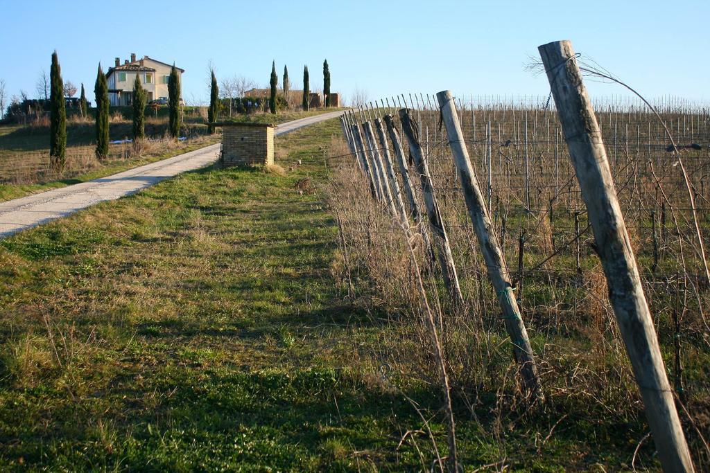 Recchi Franceschini Bike Hotel Last - Minute - Availability Montalto delle Marche 外观 照片