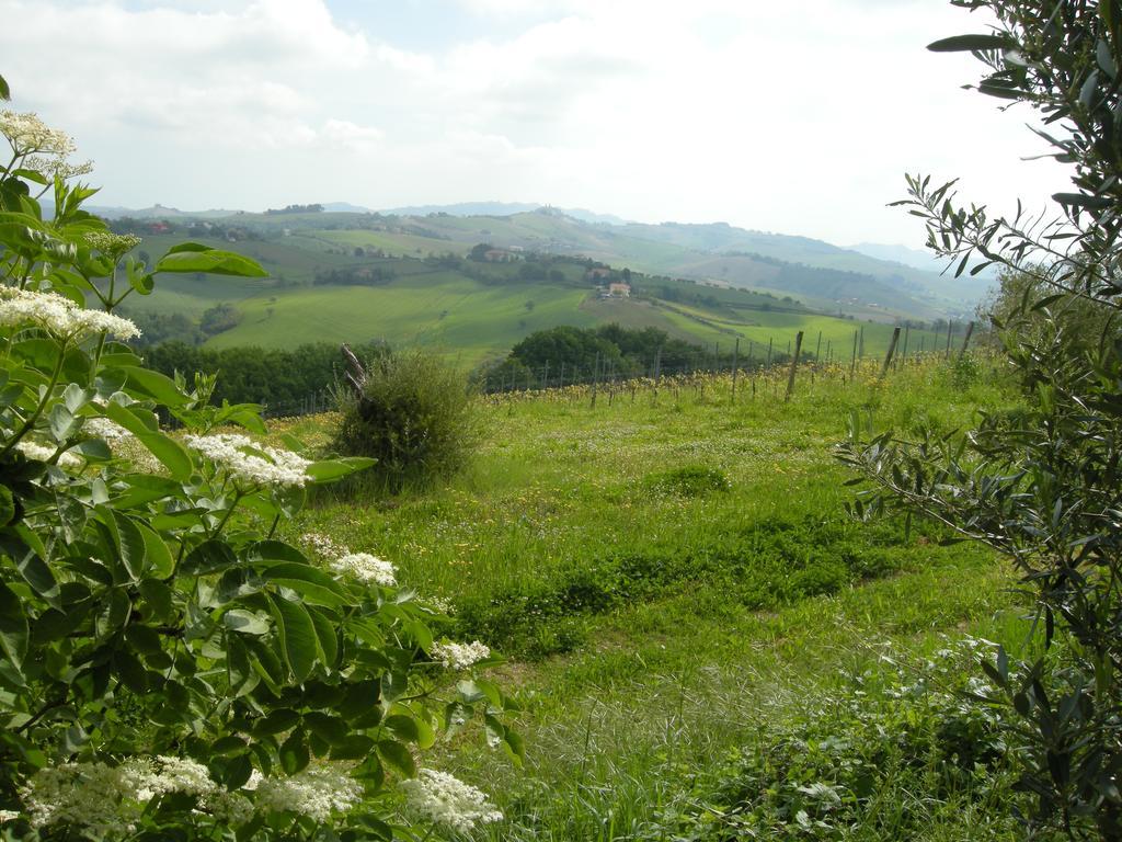 Recchi Franceschini Bike Hotel Last - Minute - Availability Montalto delle Marche 外观 照片