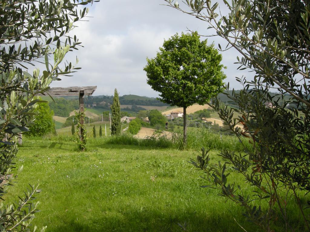 Recchi Franceschini Bike Hotel Last - Minute - Availability Montalto delle Marche 外观 照片
